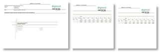 Depwest-Post-Purchase-Addendum-Depreciation-Schedule